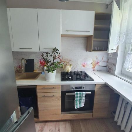 Stella4 Apartment Sanok Ngoại thất bức ảnh